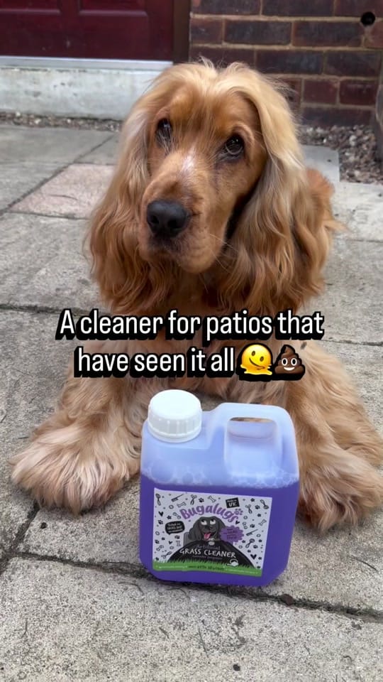 Post 2 by Bugalugs Pet Care on TikTok (video)
