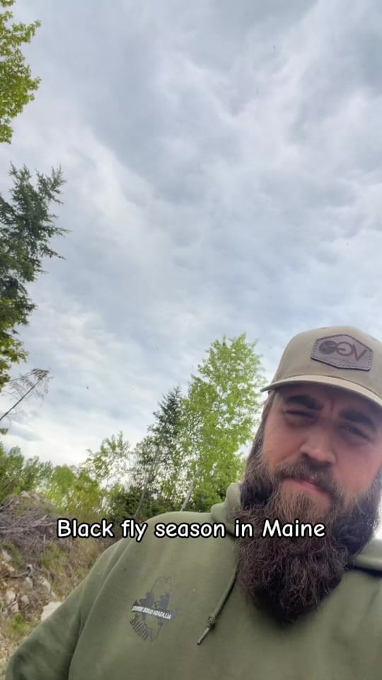 Post 5 by Dawson Daigle on TikTok (video)