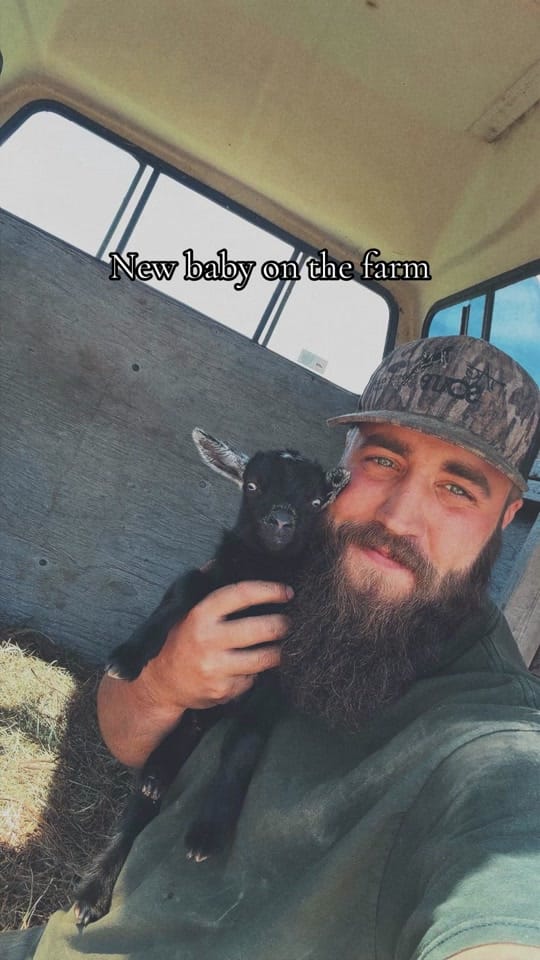 Post 3 by Dawson Daigle on TikTok (video)