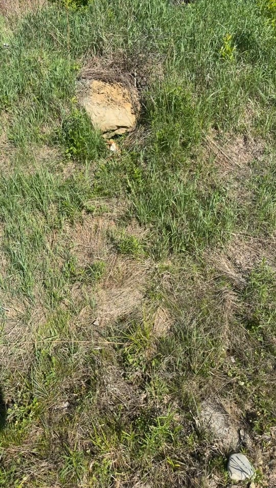 Post 4 by Dawson Daigle on TikTok (video)