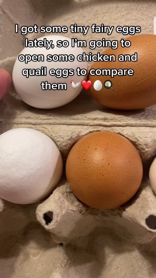 Post 10 by Ccfarmerlife 🇨🇦 on TikTok (video)