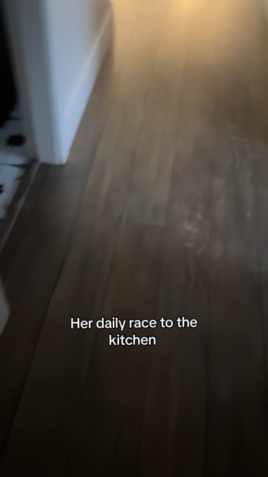 Post 5 by Ccfarmerlife 🇨🇦 on TikTok (video)