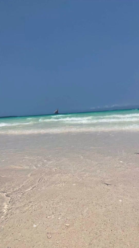Post 4 by missamyshadbolt on TikTok (video)