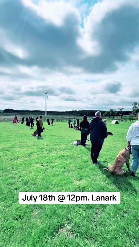 Post 2 by K9 Fife Dog Training on TikTok (video)