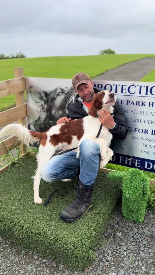 Post 9 by K9 Fife Dog Training on TikTok (video)