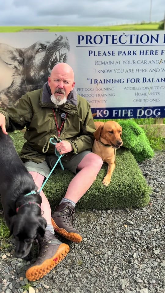 Post 5 by K9 Fife Dog Training on TikTok (video)