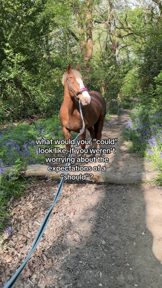 Post 1 by Riding With Rhi on TikTok (video)