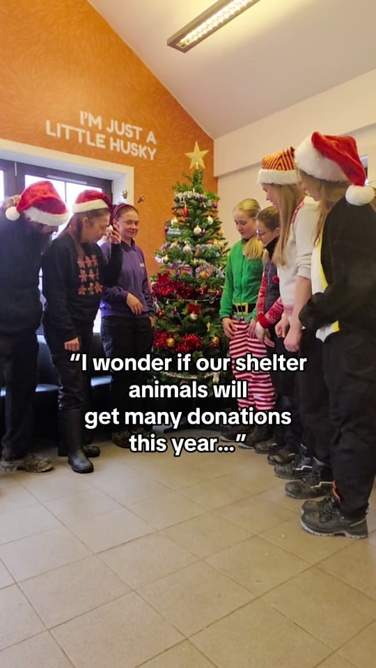 Post 3 by Scottish SPCA on TikTok (video)