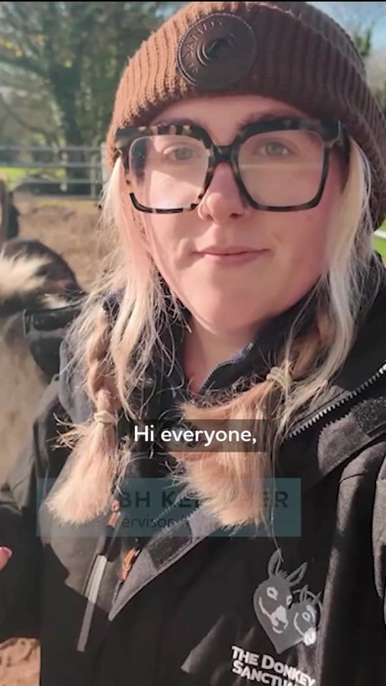 Post 3 by The Donkey Sanctuary Ireland on TikTok (video)