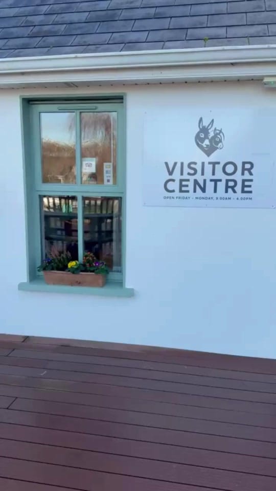 Post 7 by The Donkey Sanctuary Ireland on TikTok (video)