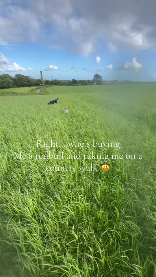 Post 2 by TheInked_Blondiee on TikTok (video)