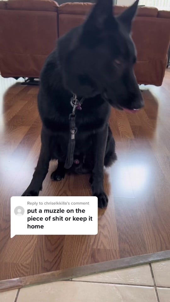 Post 5 by Elena on TikTok (video)