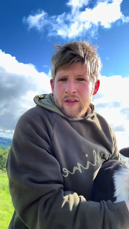 Post 2 by Sean the sheepman on TikTok (video)