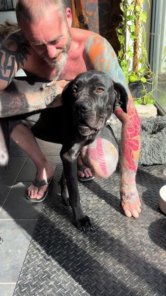 Post 7 by blacktoothdogs on TikTok (video)