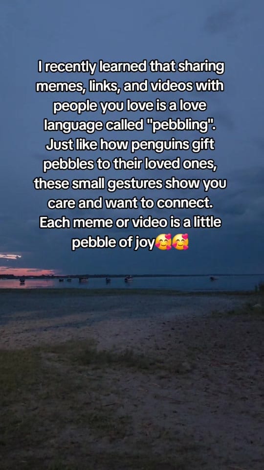 Post 9 by Kylie on TikTok (video)