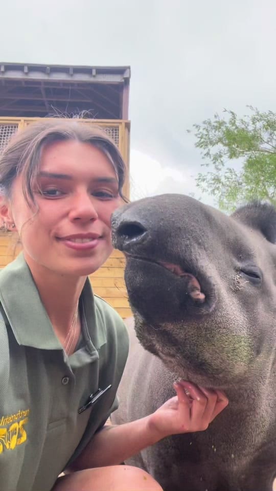 Post 3 by tippi on TikTok (video)