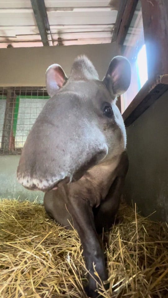 Post 10 by tippi on TikTok (video)