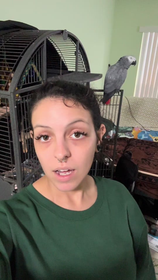 Post 1 by Arlene’s Exotics on TikTok (video)