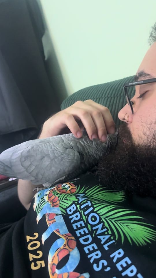 Post 2 by Arlene’s Exotics on TikTok (video)