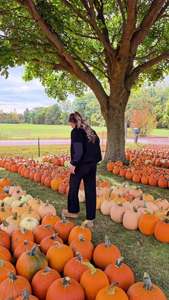 Post 7 by Lara Collette on TikTok (video)