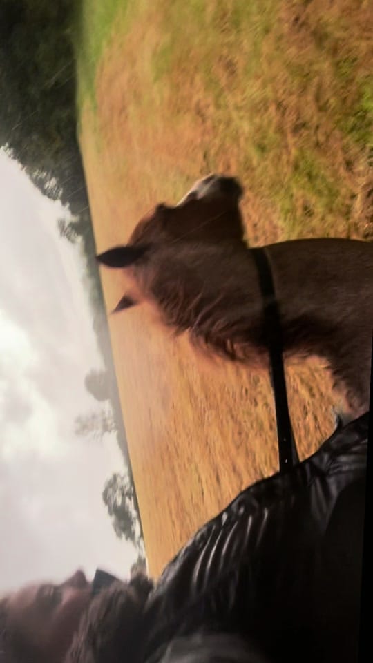 Post 3 by Cerys Hughes on TikTok (video)