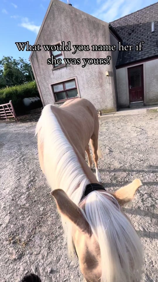 Post 5 by Cerys Hughes on TikTok (video)