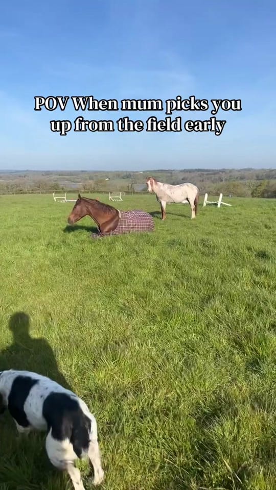 Post 7 by Cerys Hughes on TikTok (video)