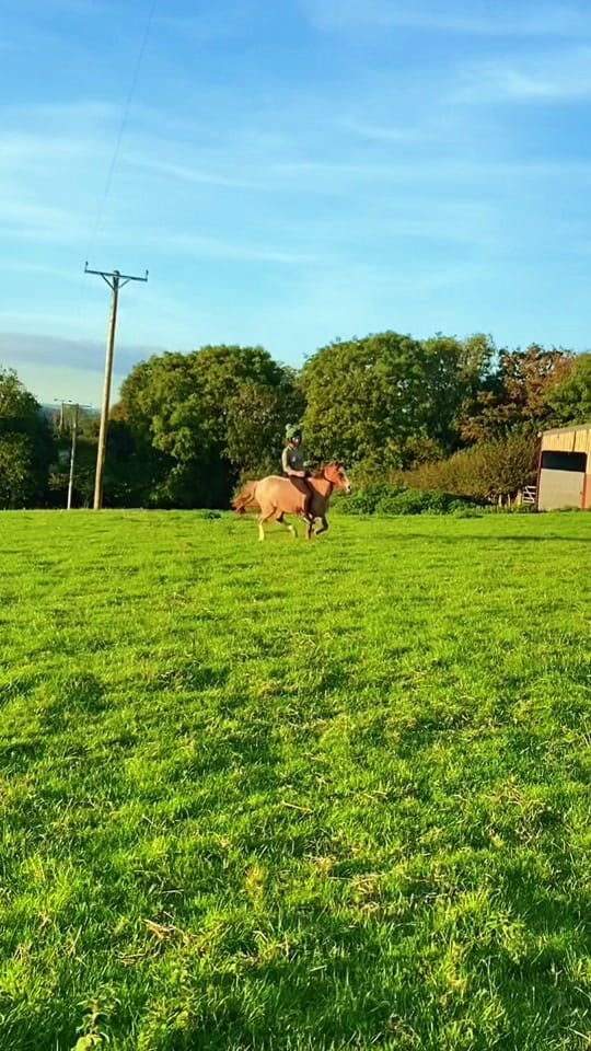 Post 9 by Cerys Hughes on TikTok (video)