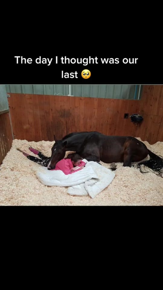 Post 8 by Rach on TikTok (video)