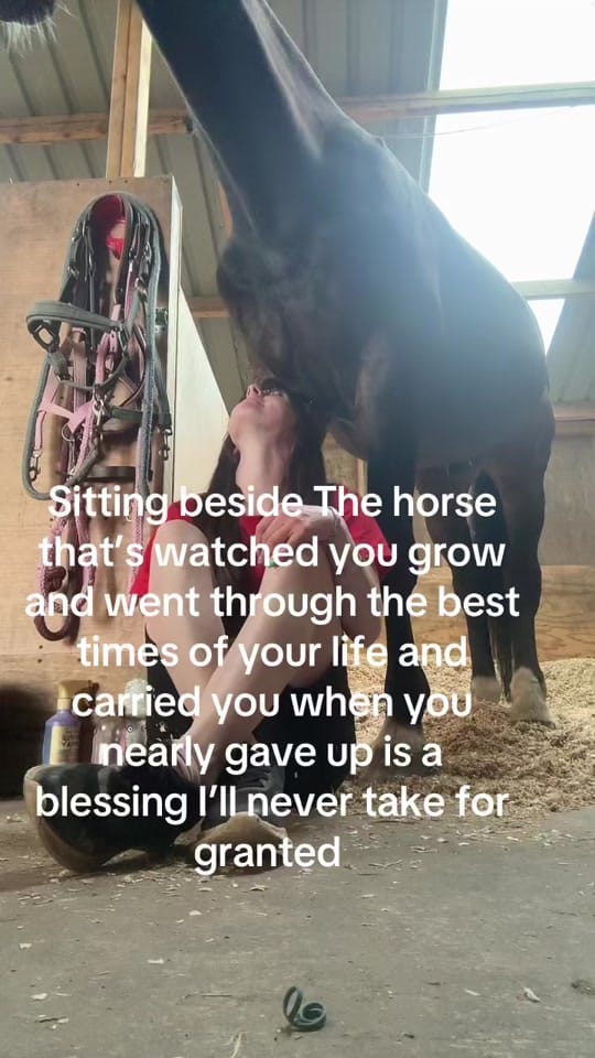 Post 4 by Rach on TikTok (video)
