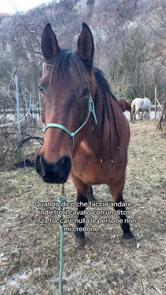 Post 7 by 𝒢𝒾𝑜𝓇𝑔𝒾𝒶𝒹𝓊𝒸𝓇𝑒𝓉 on TikTok (video)