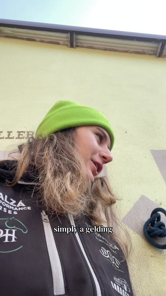 Post 4 by 𝒢𝒾𝑜𝓇𝑔𝒾𝒶𝒹𝓊𝒸𝓇𝑒𝓉 on TikTok (video)