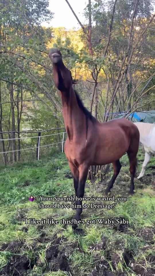 Post 10 by 𝒢𝒾𝑜𝓇𝑔𝒾𝒶𝒹𝓊𝒸𝓇𝑒𝓉 on TikTok (video)