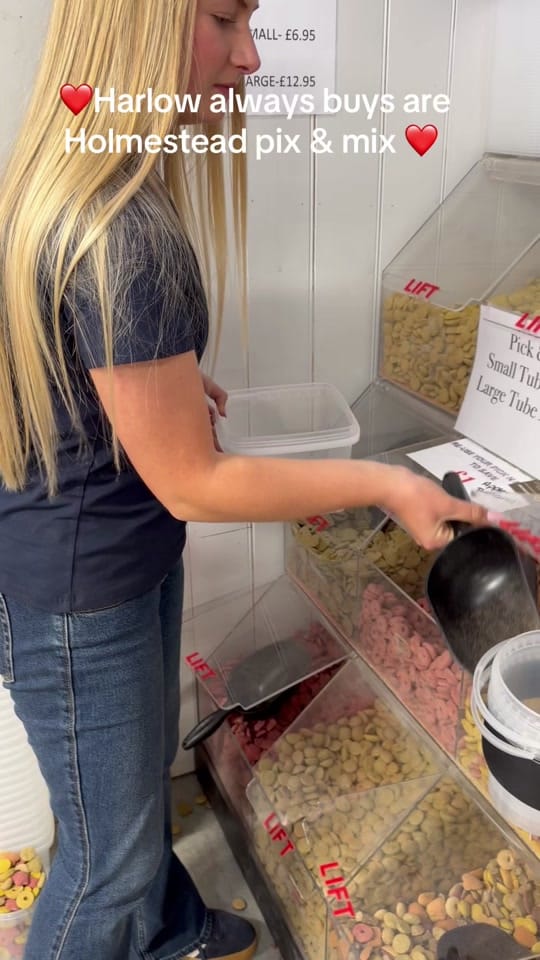 Post 6 by HolmesteadSaddlery on TikTok (video)