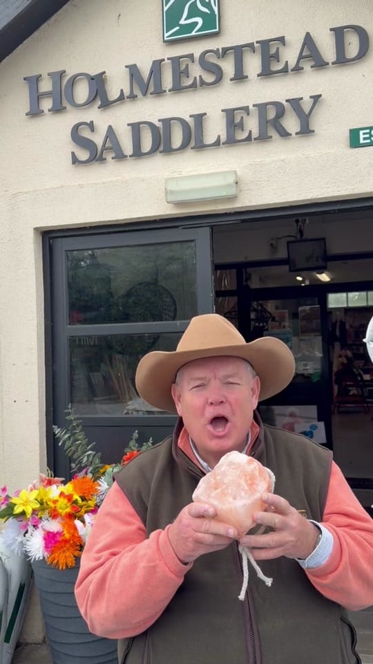 Post 3 by HolmesteadSaddlery on TikTok (video)