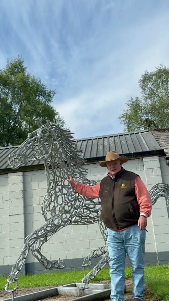 Post 5 by HolmesteadSaddlery on TikTok (video)