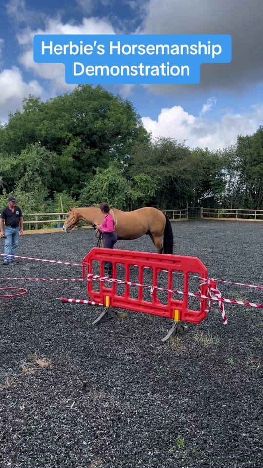Post 10 by Brad.Sola.Equestrian on TikTok (video)