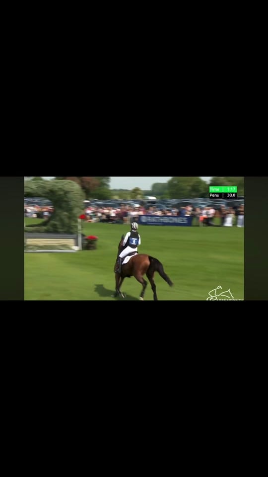 Post 4 by Brad.Sola.Equestrian on TikTok (video)