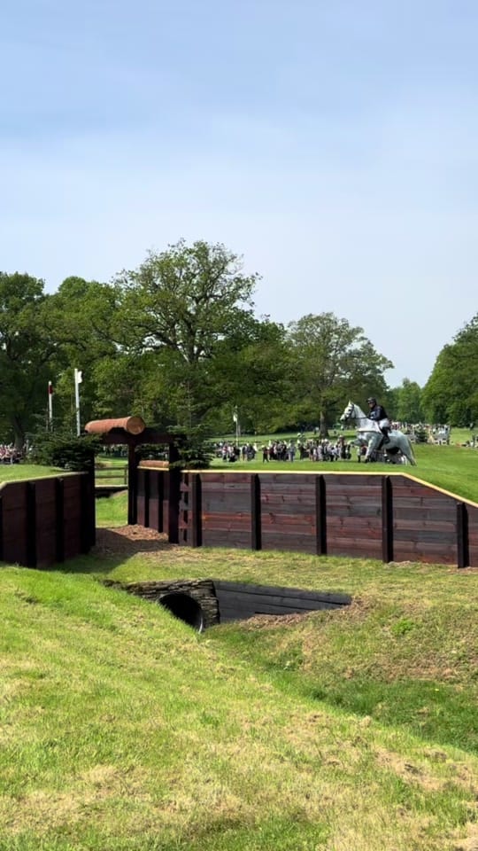 Post 5 by Brad.Sola.Equestrian on TikTok (video)