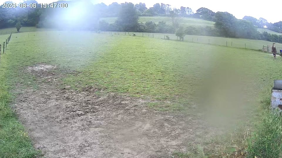 Post 2 by Brad.Sola.Equestrian on TikTok (video)
