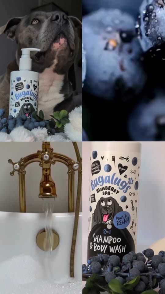 Post 6 by Papi & Olivia | UGC 🧸 on TikTok (video)