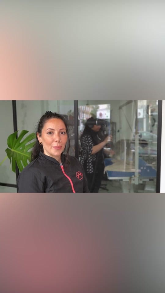 Post 2 by HackneyBarkers on TikTok (video)