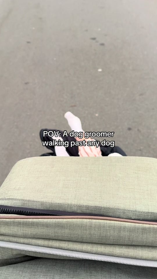 Post 10 by HackneyBarkers on TikTok (video)