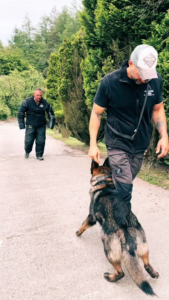 Post 8 by Protection K9 Scotland on TikTok (video)
