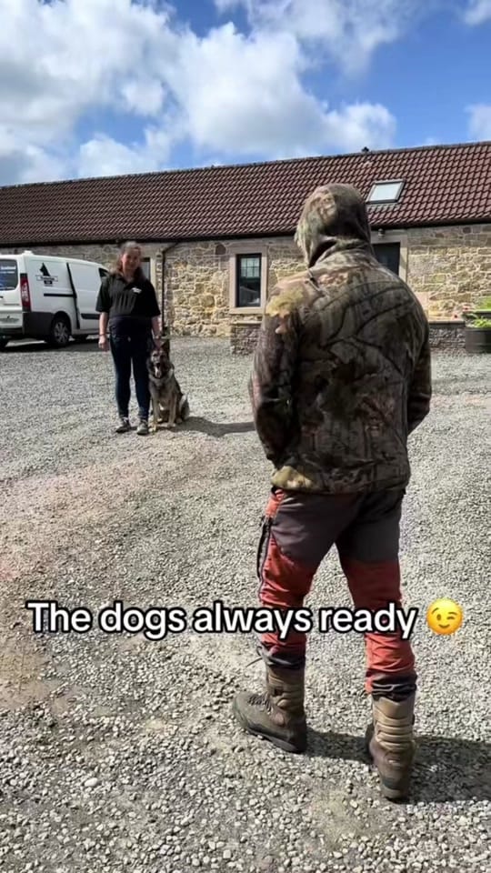Post 1 by Protection K9 Scotland on TikTok (video)