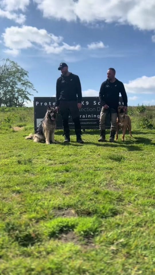 Post 7 by Protection K9 Scotland on TikTok (video)