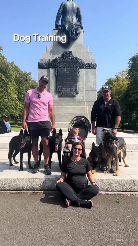 Post 2 by Protection K9 Scotland on TikTok (video)