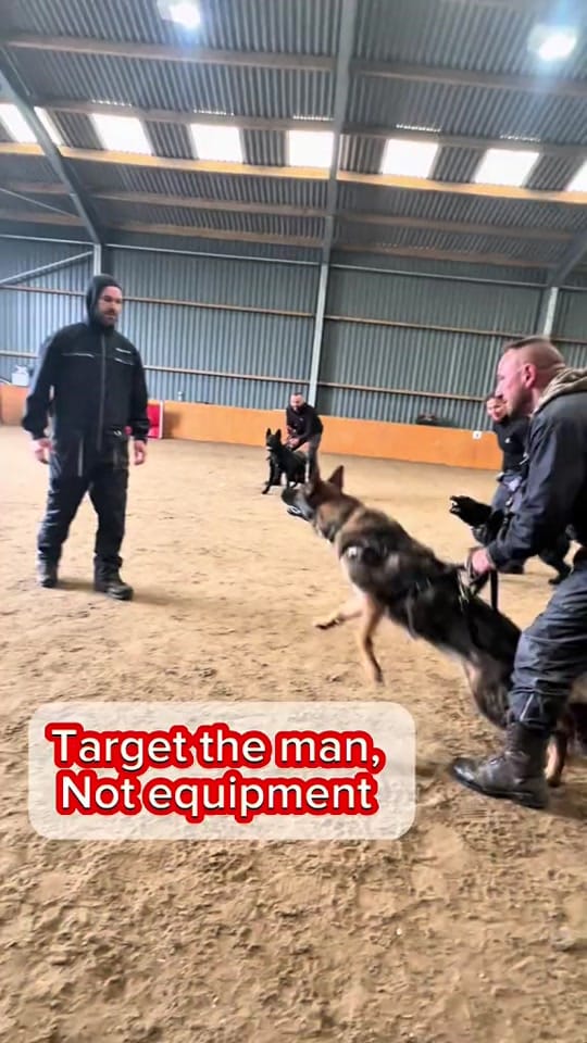 Post 3 by Protection K9 Scotland on TikTok (video)