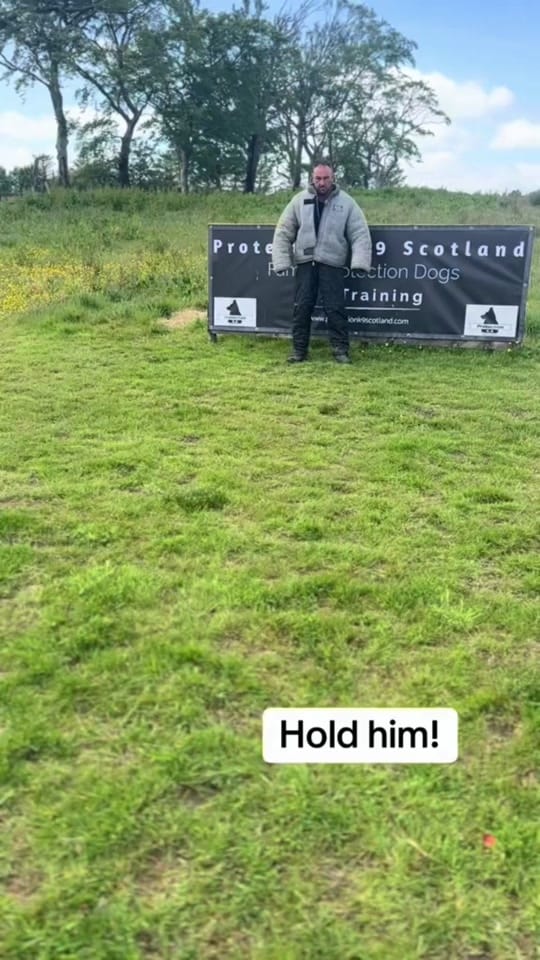 Post 5 by Protection K9 Scotland on TikTok (video)