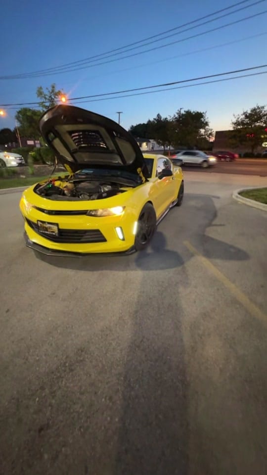Post 4 by Bumblebee 3 🐝 on TikTok (video)